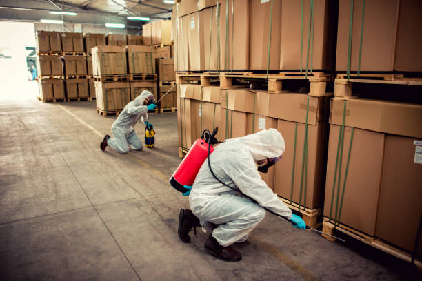 Best Best Pest Control Companies  in Sweetwater, TX