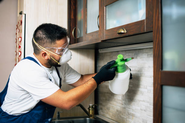 Best Emergency Pest Control  in Sweetwater, TX