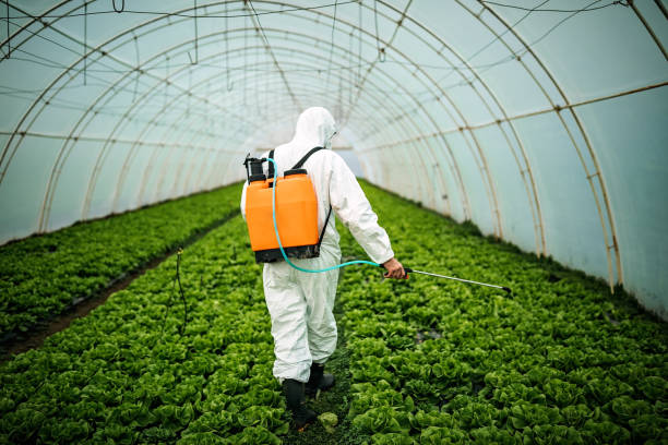 Pest Control for Restaurants in Sweetwater, TX