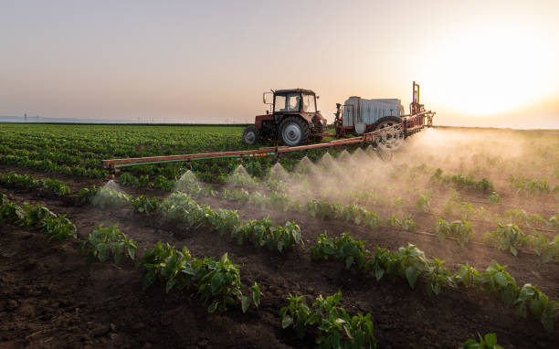 Best Pest Control for Homes  in Sweetwater, TX