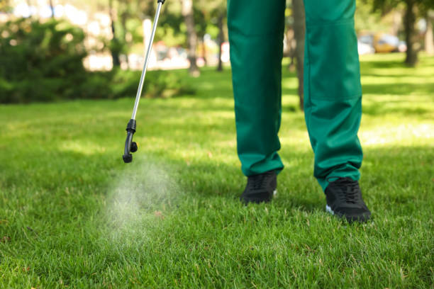 Best Rodent Control Near Me  in Sweetwater, TX
