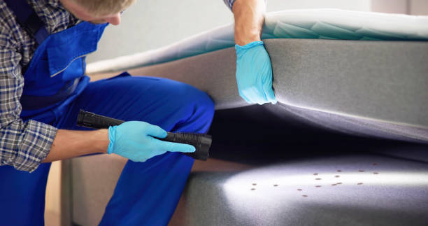 Best Best Pest Control Companies  in Sweetwater, TX