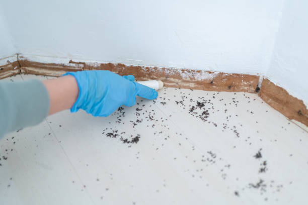 Best Exterminator Services  in Sweetwater, TX