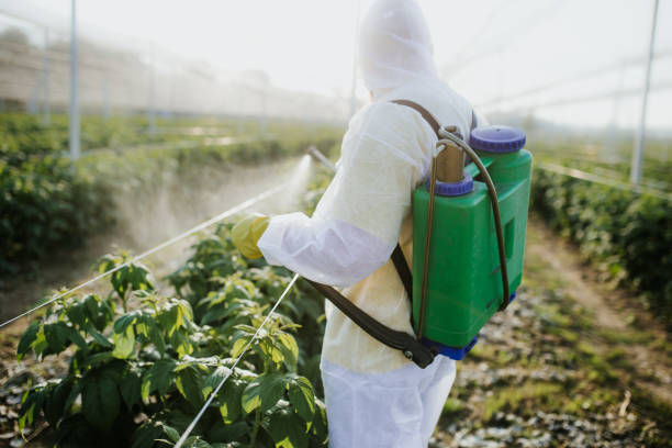 Trusted Sweetwater, TX Pest Control Experts